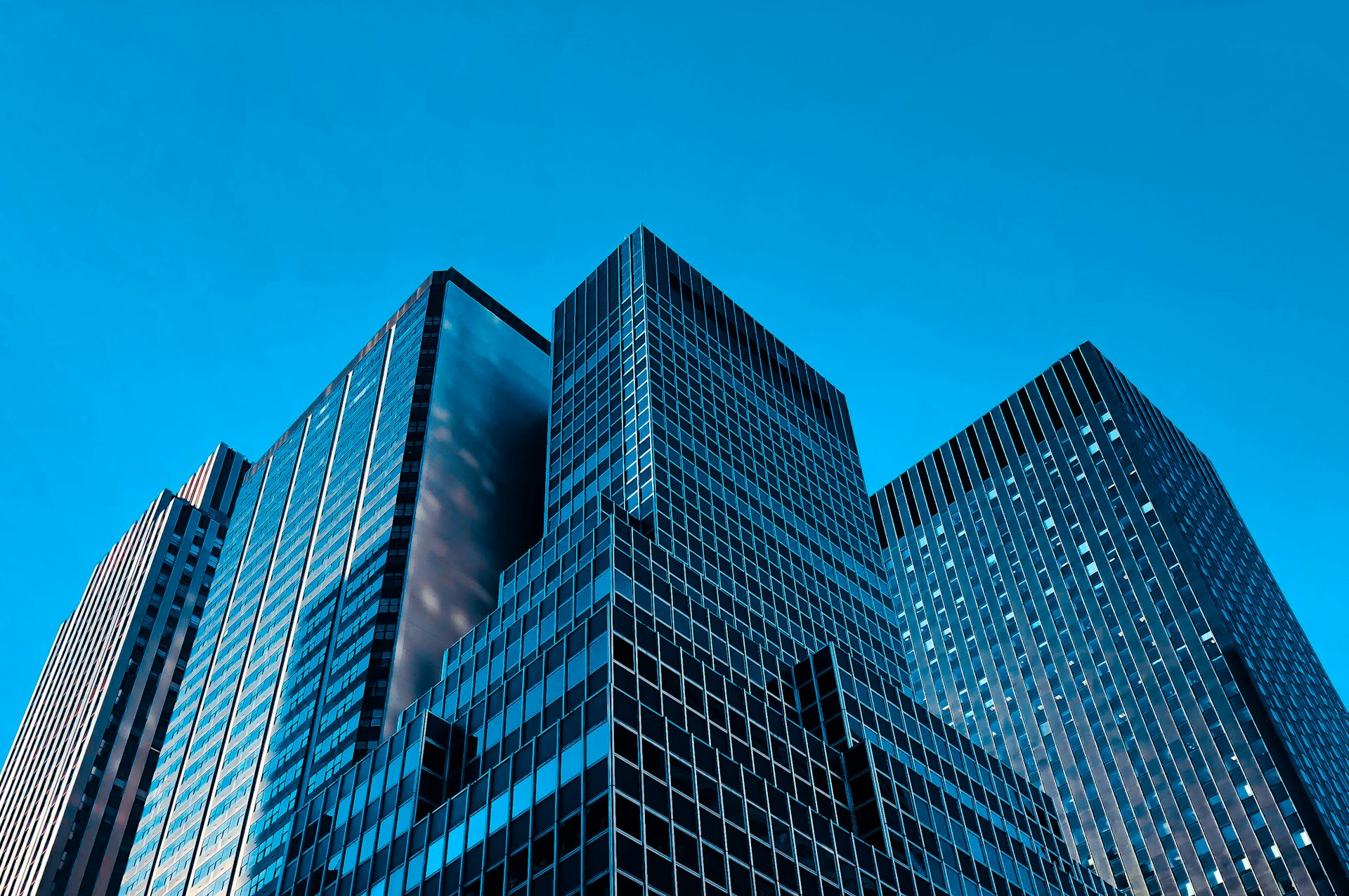 Corporate leadership environment